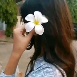 farzanaislam.mow