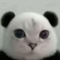 lhoreannem