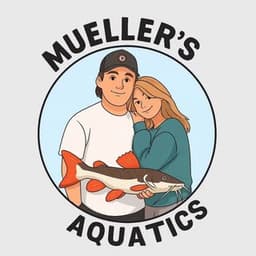 muellers.aquatics