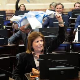 patobullrich