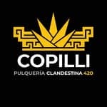 pulqueriaclandestina420