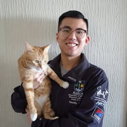 timothy_tcy