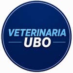 veterinariaubo