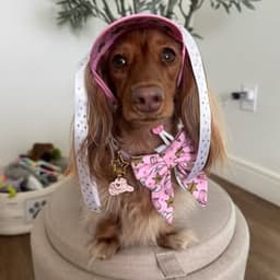willowgraceween