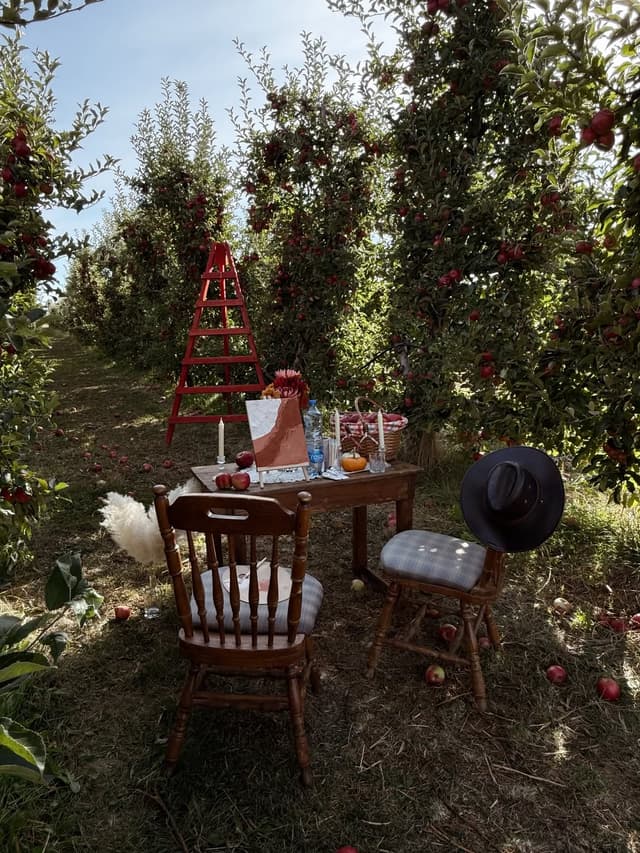@aleksandrashijakoska's Instagram post posted on date 10/9/2026 which generated 2694 likes and 14 comments