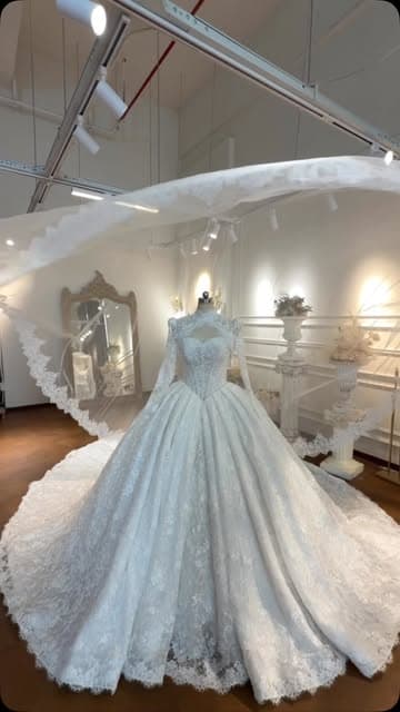 @amanda.novias's Instagram post posted on date 8/27/2026 which generated 56397 likes and 103 comments