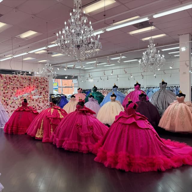@anitasbridal's Instagram post posted on date 8/24/2026 which generated 558 likes and 3 comments