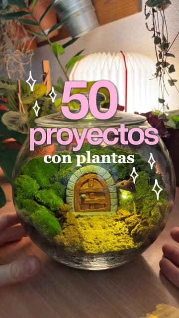 @blanca.variegada's Instagram post posted on date 1/8/2026 which generated 2603 likes and 48 comments