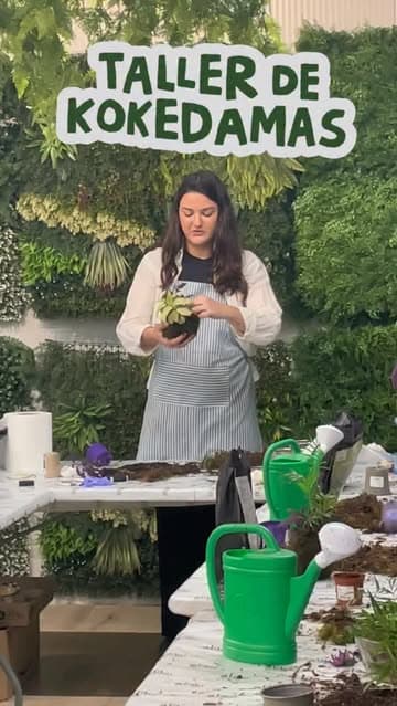 @blanca.variegada's Instagram post posted on date 5/22/2026 which generated 236 likes and 3 comments