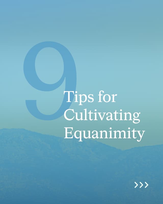 @calm's Instagram post posted on date 8/17/2026 which generated 1119 likes and 15 comments