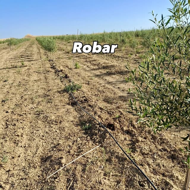 @ceci_agri's Instagram post posted on date 9/7/2026 which generated 841 likes and 89 comments