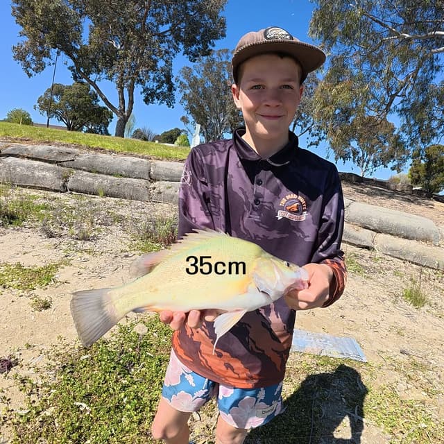 @crookefishing's Instagram post posted on date 9/19/2026 which generated 41 likes and 9 comments