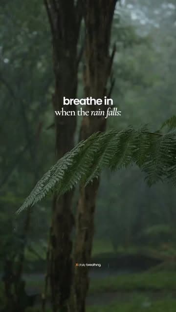 @daily_breathing's Instagram post posted on date 9/3/2026 which generated 273 likes and 6 comments