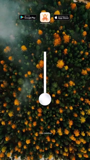@daily_breathing's Instagram post posted on date 9/4/2026 which generated 136 likes and 1 comments