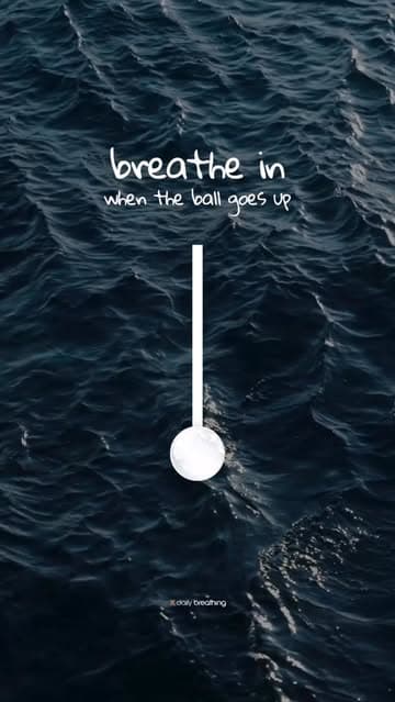 @daily_breathing's Instagram post posted on date 9/1/2026 which generated 372 likes and 7 comments