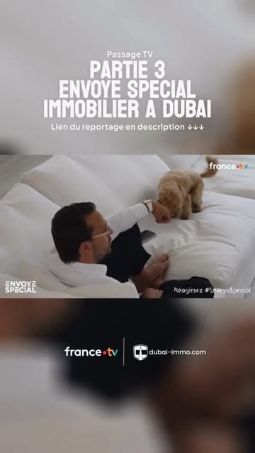 @dubai_immo_officiel's Instagram post posted on date 5/7/2026 which generated 36 likes and 6 comments