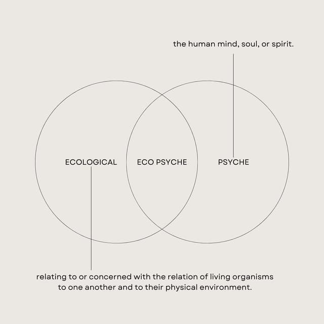 @eco__psyche's Instagram post posted on date 12/12/2023 which generated 3 likes and 4 comments