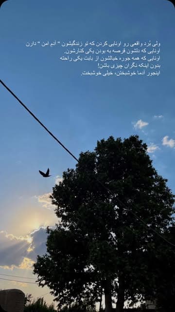 @fatememohmmady_'s Instagram post posted on date 12/15/2024 which generated 15 likes and 0 comments
