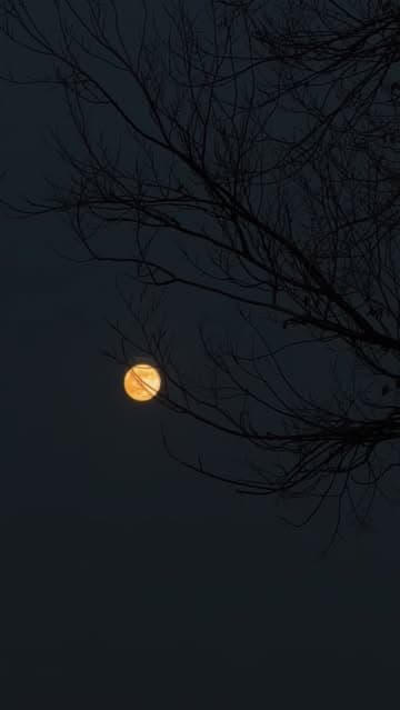 @fatememohmmady_'s Instagram post posted on date 12/4/2025 which generated 215 likes and 2 comments