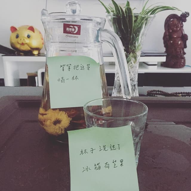 @flora_one's Instagram post posted on date 8/21/2016 which generated 0 likes and 0 comments