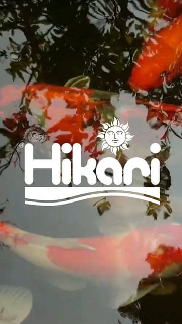 @hikariusa's Instagram post posted on date 4/3/2025 which generated 31 likes and 0 comments