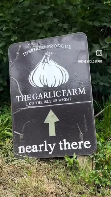 @honeygoldenpot's Instagram post posted on date 6/14/2026 which generated 6 likes and 0 comments