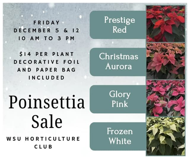 @horticulture_club_wsu's Instagram post posted on date 12/5/2025 which generated 22 likes and 1 comments