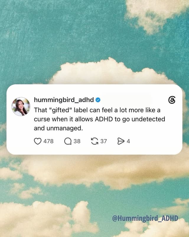@hummingbird_adhd's Instagram post posted on date 7/29/2026 which generated 93 likes and 4 comments