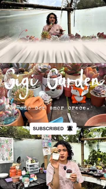 @itsgigigarden's Instagram post posted on date 7/22/2026 which generated 50 likes and 8 comments