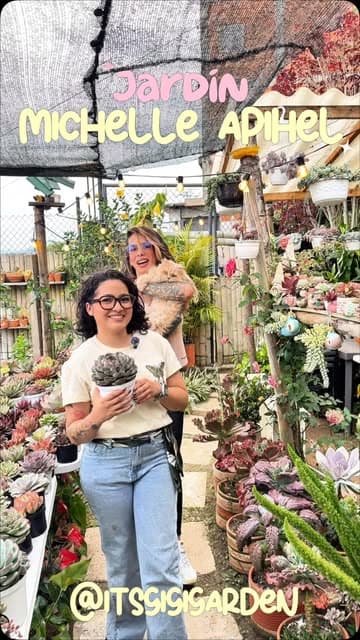 @itsgigigarden's Instagram post posted on date 8/6/2026 which generated 388 likes and 33 comments