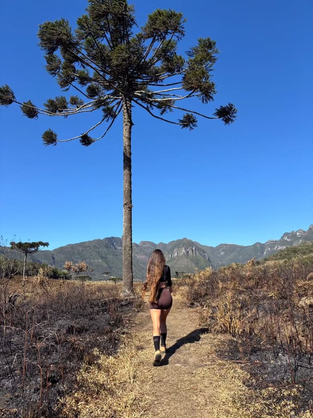 @jessicahoffmann_'s Instagram post posted on date 8/5/2026 which generated 1774 likes and 27 comments