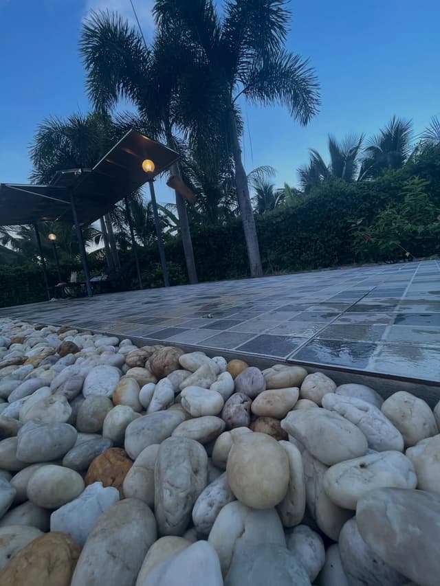 @jk_392.com889's Instagram post posted on date 10/6/2026 which generated 5 likes and 0 comments