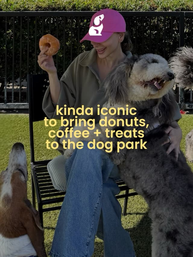 @joingofetch's Instagram post posted on date 8/23/2026 which generated 118 likes and 14 comments
