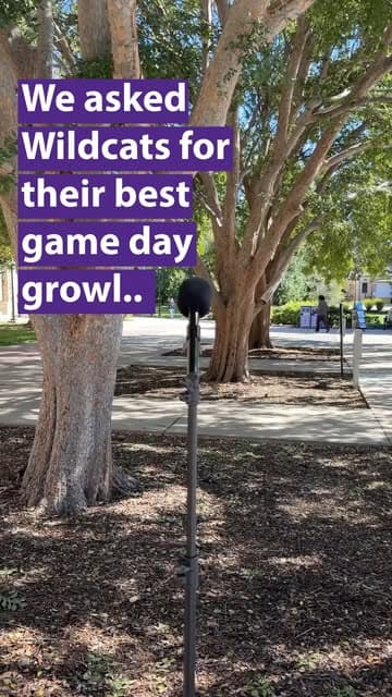 @kansasstateuniversity's Instagram post posted on date 10/10/2026 which generated 505 likes and 0 comments