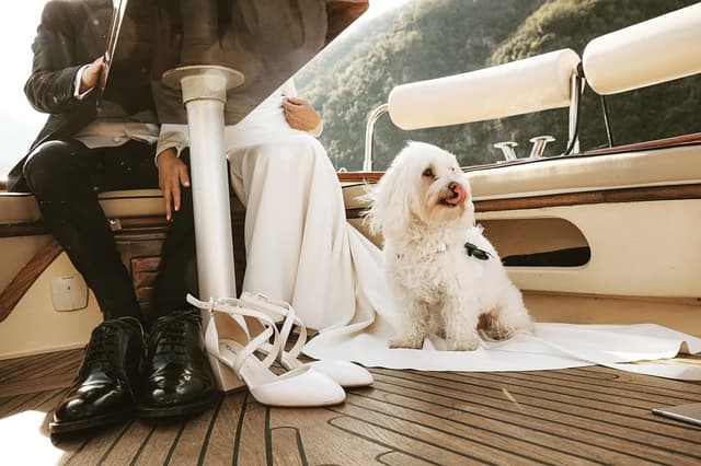 @lakecomobyboat's Instagram post posted on date 4/30/2026 which generated 72 likes and 2 comments