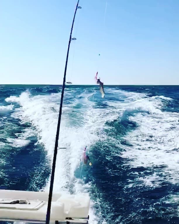 @leilaandrews's Instagram post posted on date 9/10/2017 which generated 3 likes and 1 comments