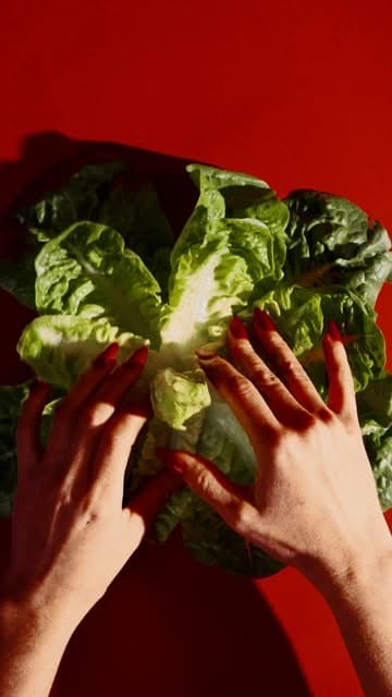 @lettuce.social's Instagram post posted on date 9/7/2026 which generated 3 likes and 0 comments