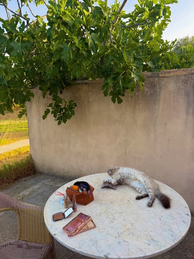 @malesita_original's Instagram post posted on date 7/7/2026 which generated 3 likes and 9 comments