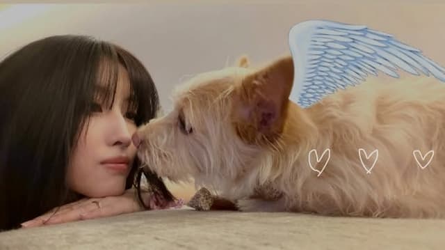 @momo's Instagram post posted on date 9/4/2026 which generated 931791 likes and 2068 comments