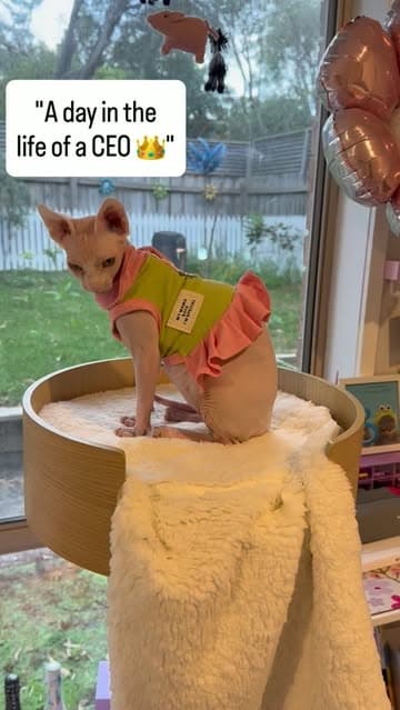 @nakedandeducated's Instagram post posted on date 10/9/2026 which generated 119 likes and 3 comments