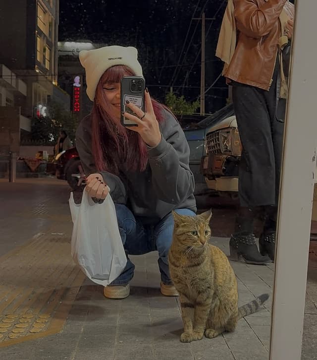 @nochriist's Instagram post posted on date 12/27/2024 which generated 2929 likes and 29 comments