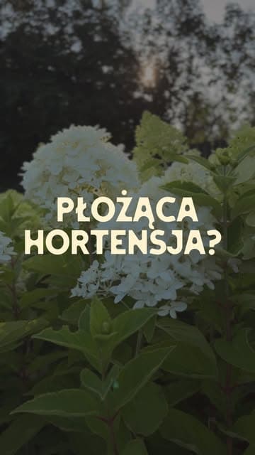 @ogrodnik.doskonaly's Instagram post posted on date 8/3/2026 which generated 2830 likes and 52 comments