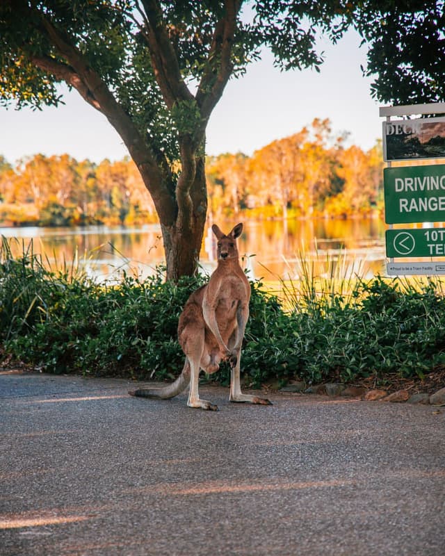 @pacificharbourgolfclub's Instagram post posted on date 6/30/2026 which generated 12 likes and 1 comments