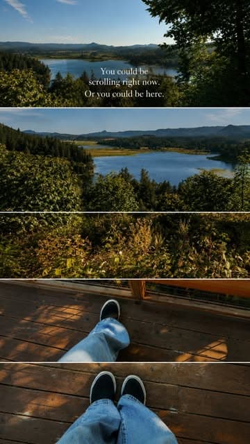 @petrranka's Instagram post posted on date 8/11/2026 which generated 3 likes and 5 comments