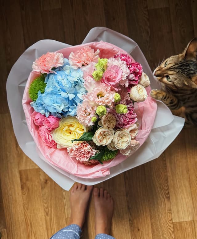 @ppompeya's Instagram post posted on date 9/2/2026 which generated 433 likes and 0 comments