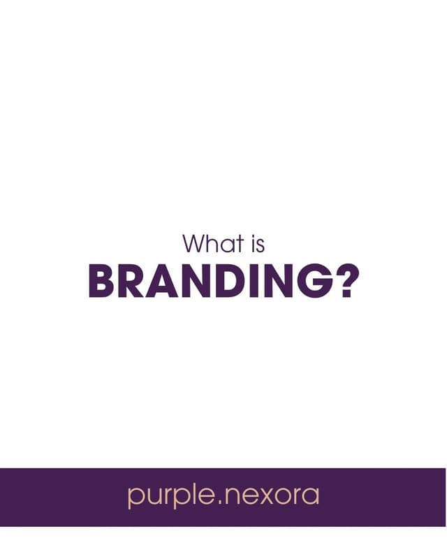 @purple.nexora's Instagram post posted on date 12/24/2025 which generated 3 likes and 0 comments