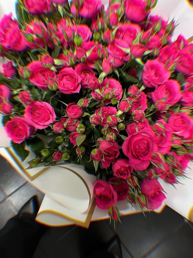 @regineld_'s Instagram post posted on date 3/8/2026 which generated 18 likes and 2 comments