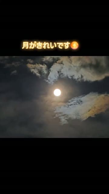 @ringo_star417's Instagram post posted on date 7/29/2026 which generated 20 likes and 0 comments