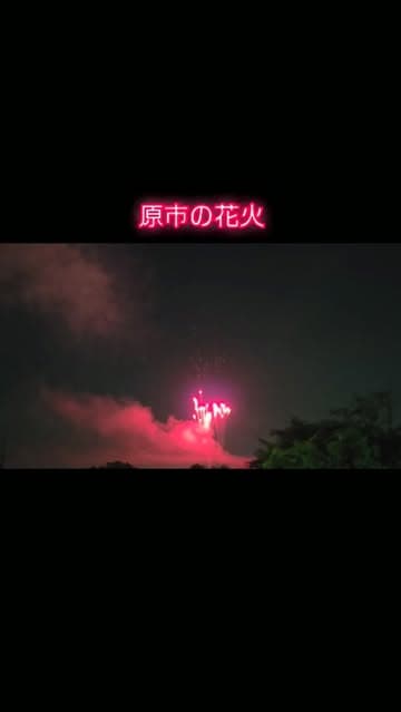 @ringo_star417's Instagram post posted on date 8/1/2026 which generated 15 likes and 0 comments