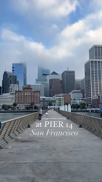 @sanfrancisco.city's Instagram post posted on date 9/3/2024 which generated 344 likes and 3 comments